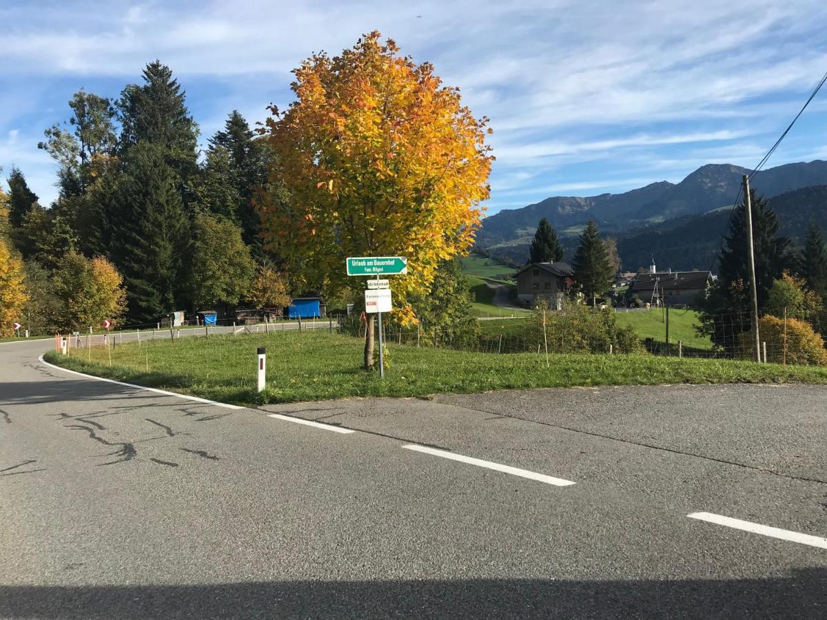 Bauernhof Bilgeri Villa Hittisau Eksteriør billede