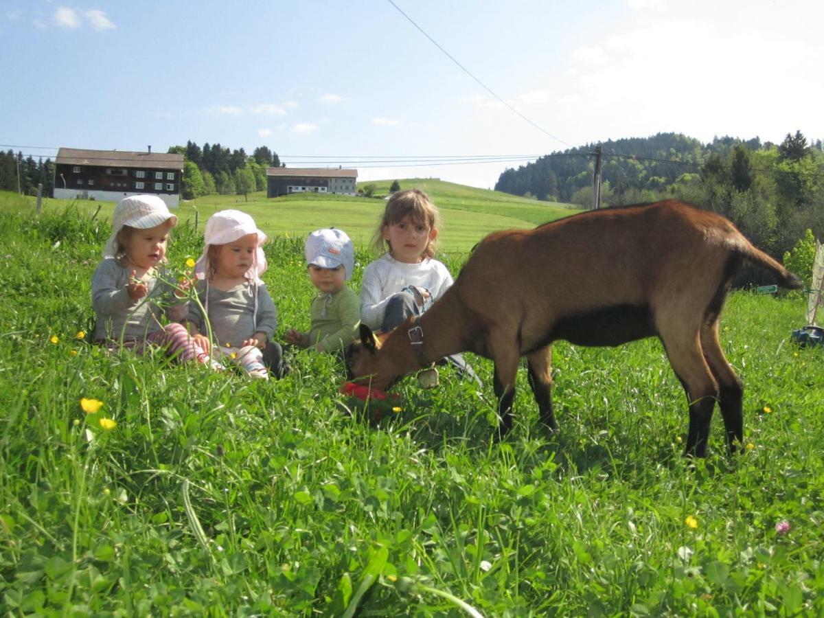 Bauernhof Bilgeri Villa Hittisau Eksteriør billede