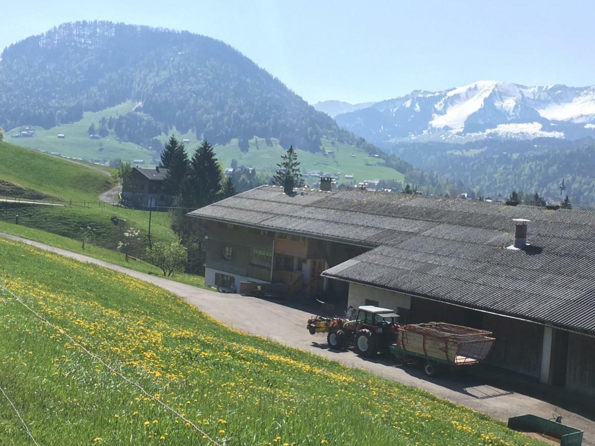 Bauernhof Bilgeri Villa Hittisau Eksteriør billede